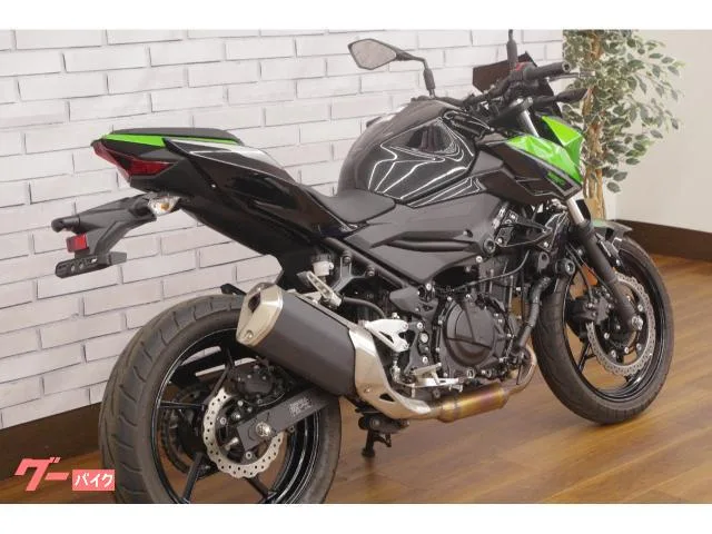 Kawasaki Z250 2023 — миниатюра 4