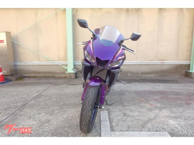 Yamaha YZF-R3 2024 — миниатюра 3