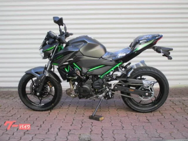 Kawasaki Z250 2024 2024 — миниатюра 2