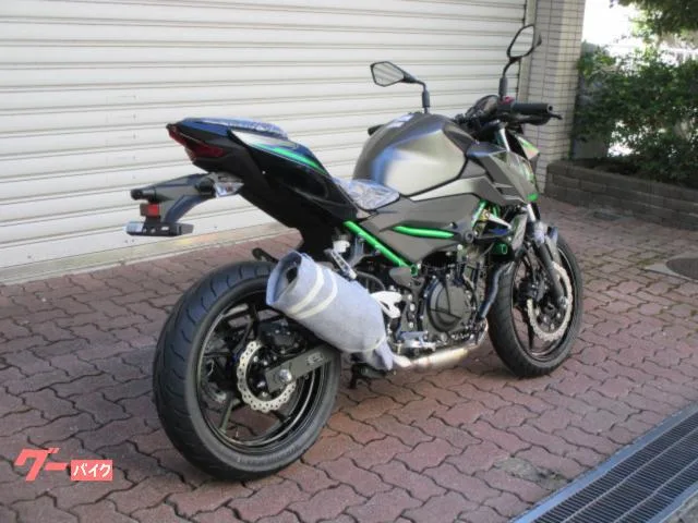 Kawasaki Z250 2024 2024 — миниатюра 3