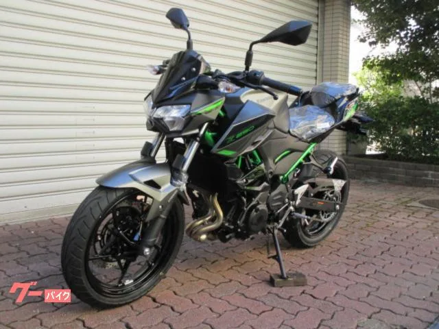 Kawasaki Z250 2024 2024 — миниатюра 4