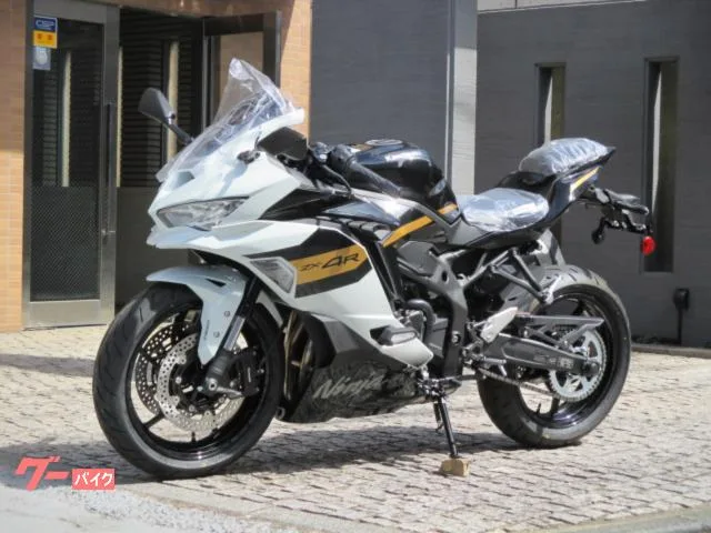 Kawasaki Ninja ZX-4R SE 2026 2026 — миниатюра 4