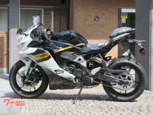 Kawasaki Ninja ZX-4R SE 2026 2026 — миниатюра 5