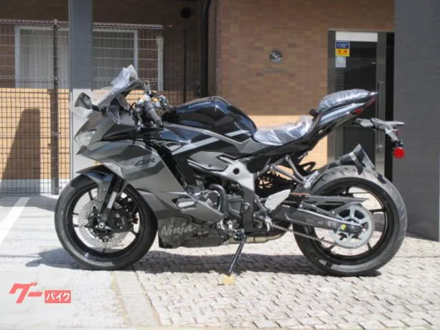 Kawasaki Ninja ZX-4R SE 2026 2026 — миниатюра 2
