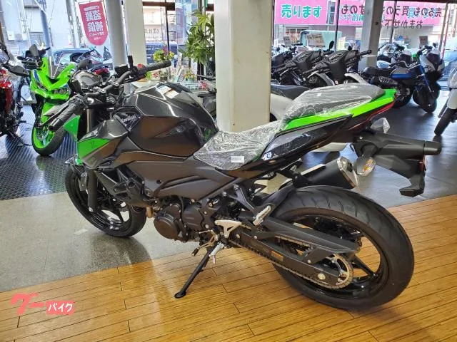 Kawasaki Z250 2023 2 2023 — миниатюра 3