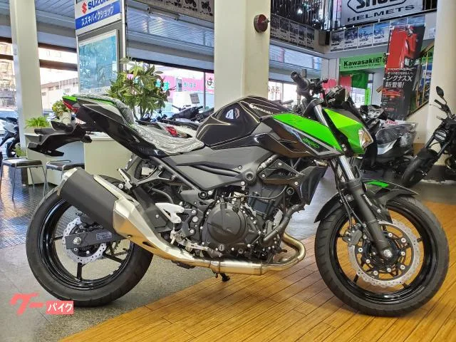 Kawasaki Z250 2023 2 2023 — миниатюра 5