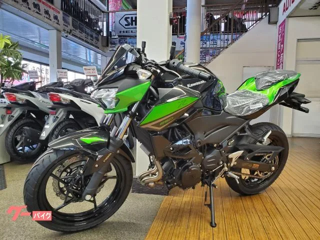 Kawasaki Z250 2023 2 2023 — фото 1, купить с доставкой в Москву