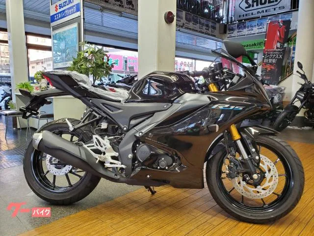 Yamaha YZF-R15 2023 2 2023 — миниатюра 2