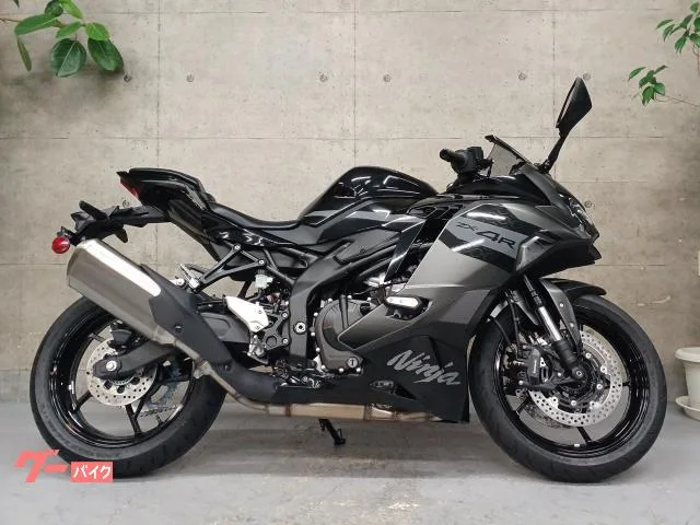Kawasaki Ninja ZX-4R SE 2026 — миниатюра 3