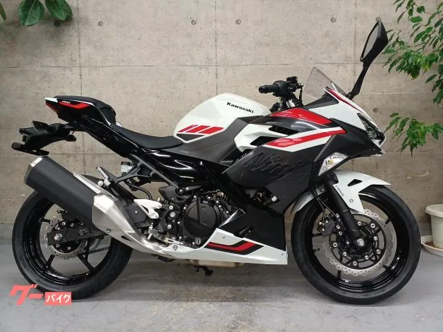 Kawasaki Ninja 400 2026 — фото 1, купить с доставкой в Москву