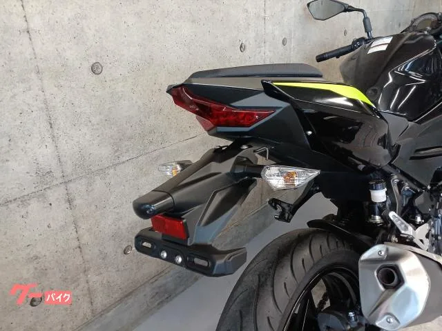 Kawasaki Z250 2022 — миниатюра 2