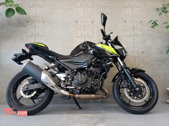 Kawasaki Z250 2022 — миниатюра 3
