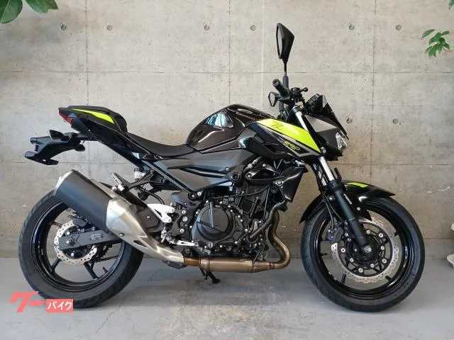 Kawasaki Z250 2022 — фото 1, купить с доставкой в Москву