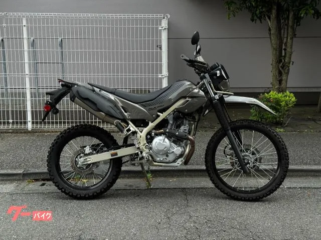 Kawasaki KLX230 2025 — фото 1, купить с доставкой в Москву
