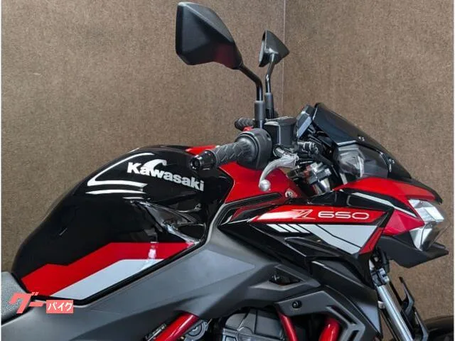 Kawasaki Z650 ETC 2024 — миниатюра 2