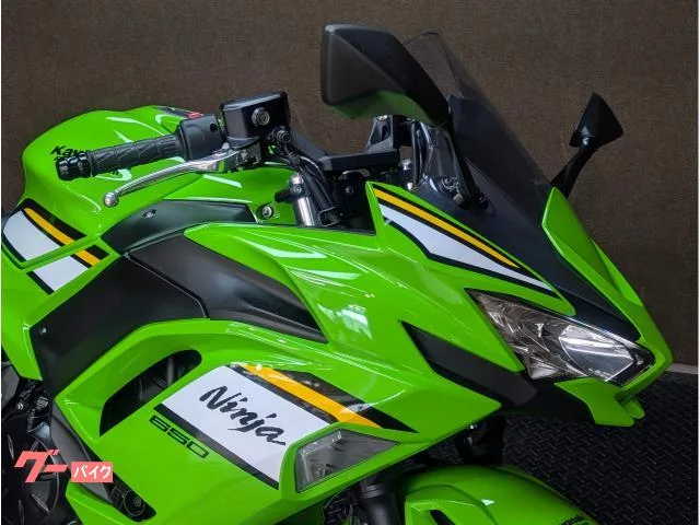 Kawasaki Ninja 650 ETC 2024 — миниатюра 3