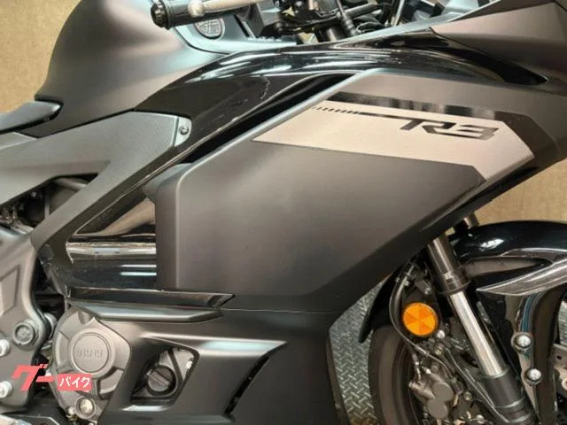 Yamaha YZF-R3 2025 — миниатюра 3