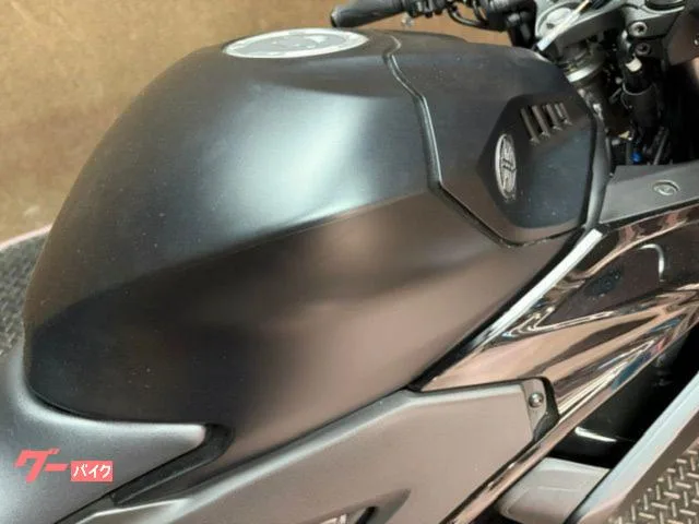 Yamaha YZF-R3 2025 — миниатюра 5