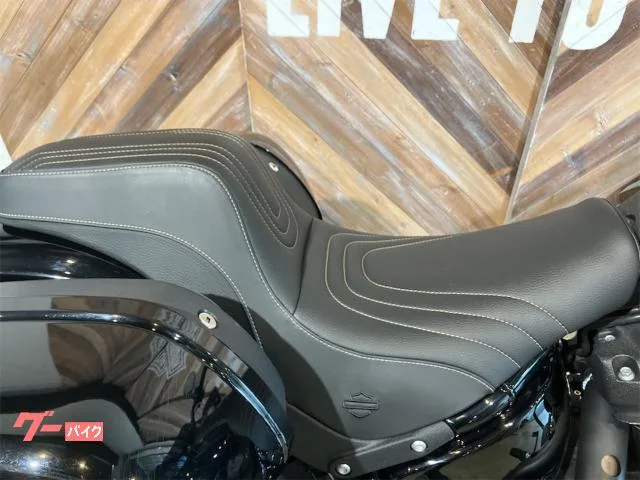 HARLEY-DAVIDSON FXLRST ST 2024 — миниатюра 5