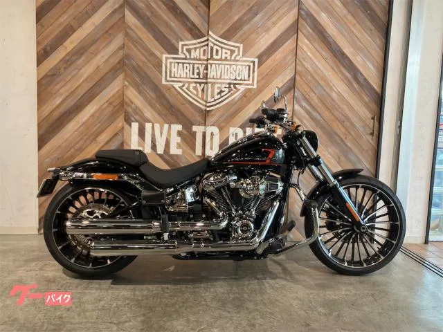 HARLEY-DAVIDSON FXBR 2024 — фото 1, купить с доставкой в Москву
