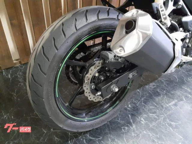 Kawasaki Ninja 250 USB 2023 — миниатюра 2