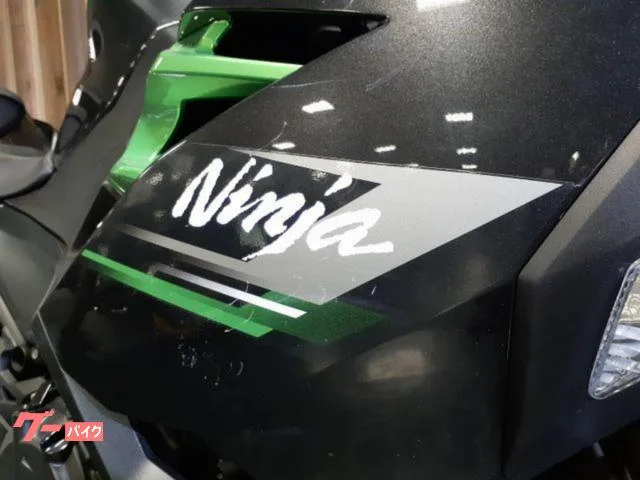 Kawasaki Ninja 250 USB 2023 — миниатюра 3