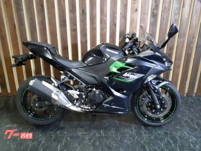 Kawasaki Ninja 250 USB 2023 — фото 1, купить с доставкой в Москву
