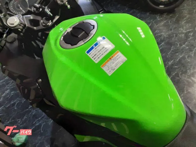 Kawasaki Ninja 250 ETC USB 2023 — миниатюра 2