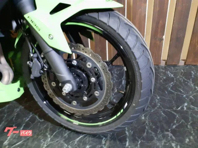 Kawasaki Ninja 250 ETC USB 2023 — миниатюра 3