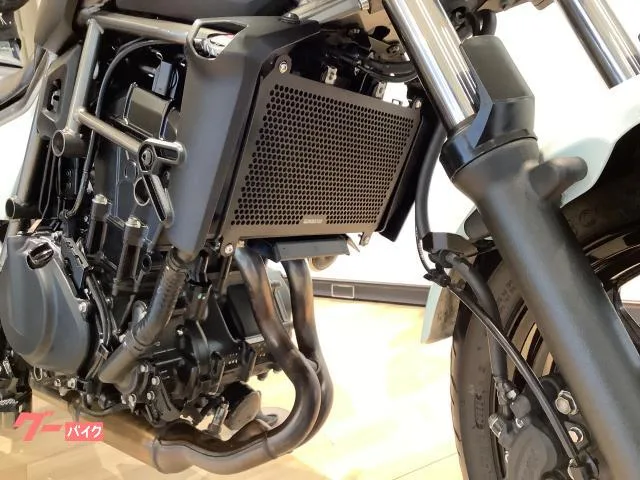 Kawasaki 400 USB 2024 — миниатюра 2