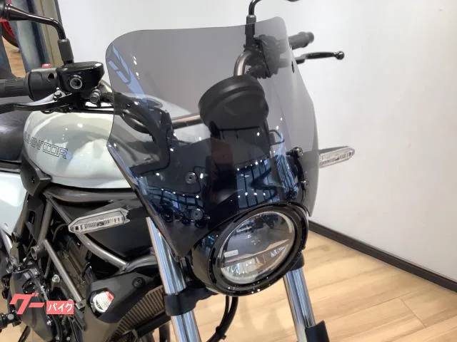 Kawasaki 400 USB 2024 — миниатюра 3