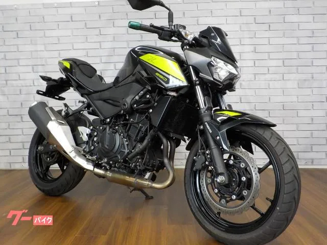 Kawasaki Z250 2022 — миниатюра 3