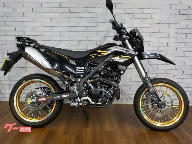 Kawasaki KLX230SM 2023 — фото 1, купить с доставкой в Москву