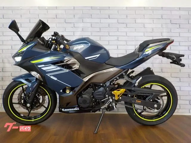 Kawasaki Ninja 400 2022 — миниатюра 5