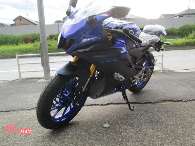 Yamaha YZF-R15 2023 2023 — миниатюра 4