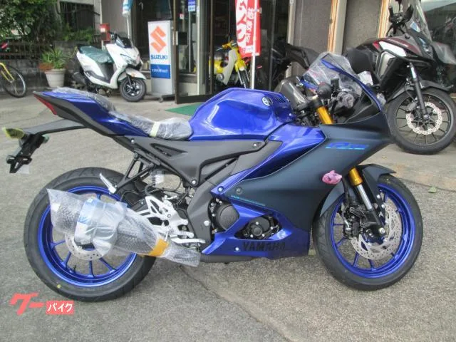 Yamaha YZF-R15 2023 2023 — фото 1, купить с доставкой в Москву