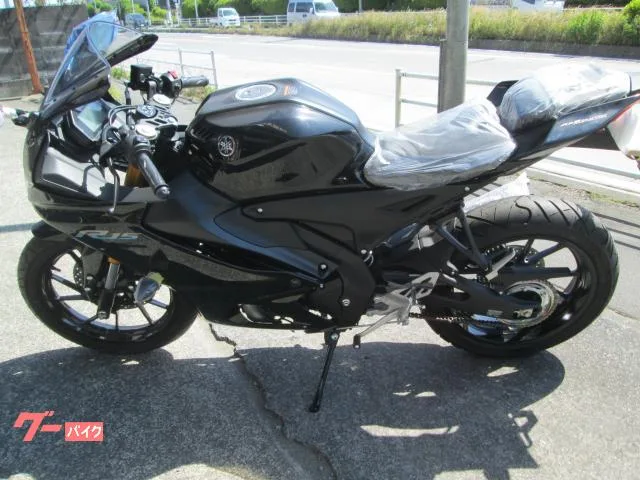 Yamaha YZF-R15 2023 — миниатюра 2