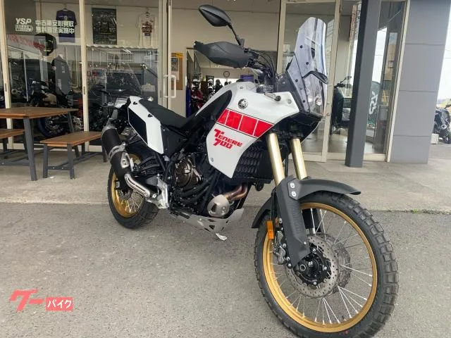 Yamaha 700 2024 — фото 1, купить с доставкой в Москву