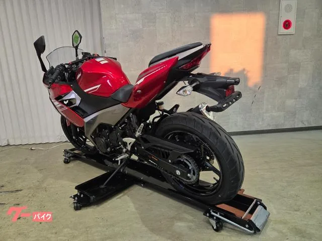Kawasaki Ninja 250 ABS 37 2022ETC 71602 2022 — миниатюра 2