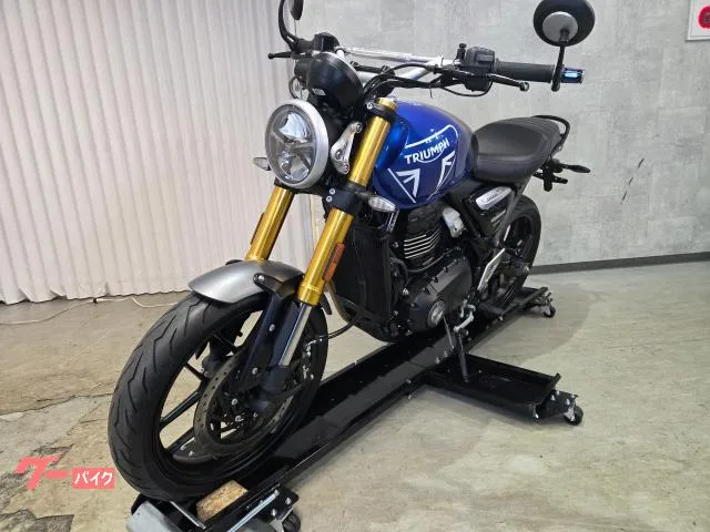 TRIUMPH 400 2024 73861 2024 — миниатюра 3