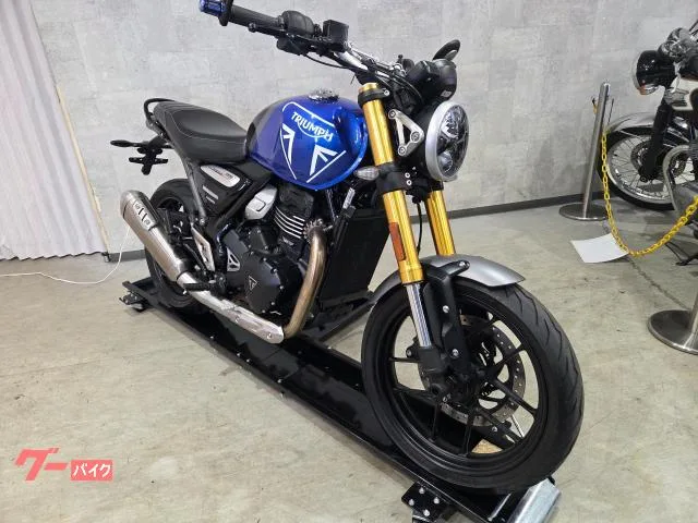 TRIUMPH 400 2024 73861 2024 — миниатюра 4
