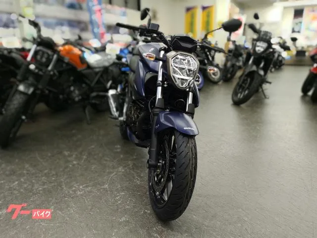 Suzuki GIXXER 250 2023 2023 — миниатюра 3