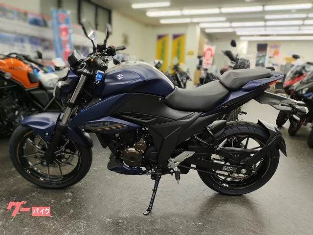 Suzuki GIXXER 250 2023 2023 — миниатюра 4