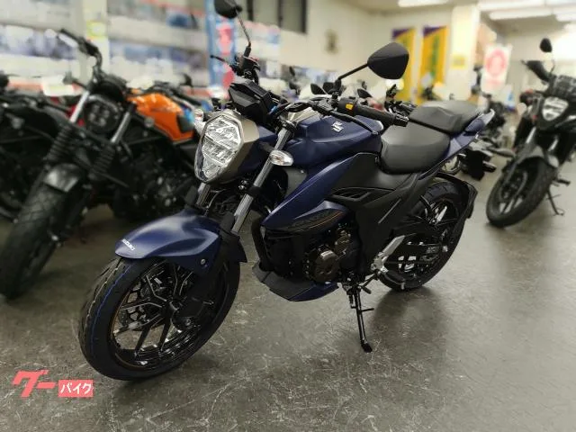 Suzuki GIXXER 250 2023 2023 — миниатюра 5