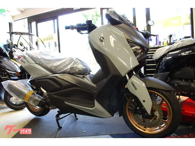 Yamaha X-MAX250/J5 2025 2025 — миниатюра 3