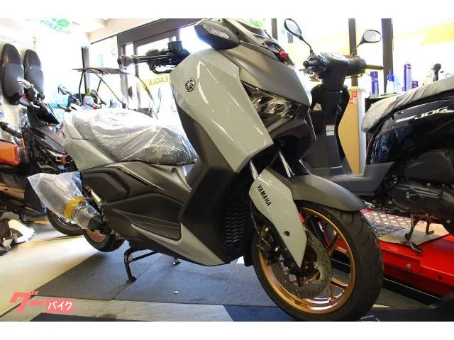 Yamaha X-MAX250/J5 2025 2025 — миниатюра 4