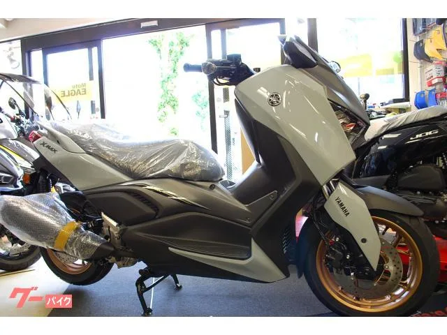 Yamaha X-MAX250/J5 2025 2025 — фото 1, купить с доставкой в Москву