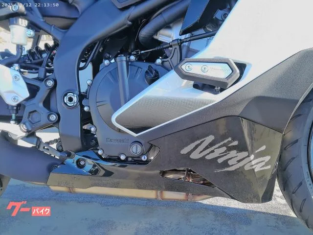 Kawasaki Ninja ZX-4R SE 2026 — миниатюра 2