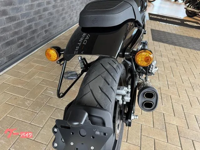 HARLEY-DAVIDSON X500 HD 2024 — миниатюра 4