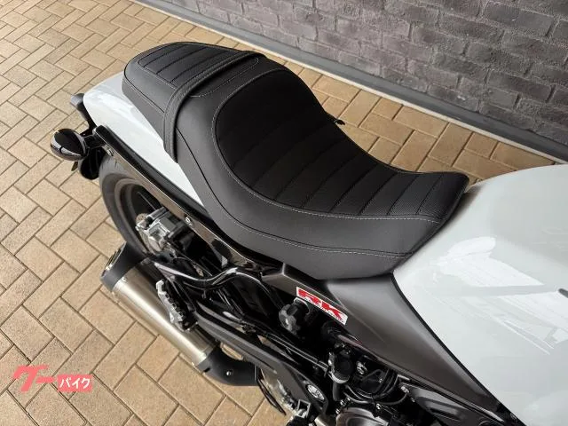 HARLEY-DAVIDSON X500 HD 2024 — миниатюра 4